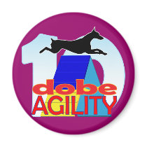 Dobe Agility 10th Anniversary