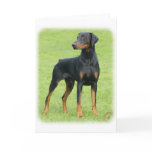 Doberman 9P99D-47 cards