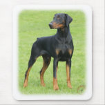 Doberman 9P99D-47 mousepads