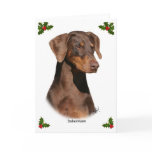 Doberman 9Y381D-162 cards