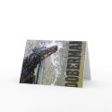 Doberman at the Fountain cards