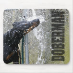 Doberman at the Fountain mousepads