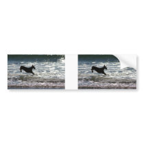 Doberman - Black - Ocean Leap