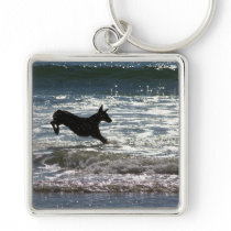 Doberman - Black - Ocean Leap