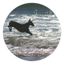 Doberman - Black - Ocean Leap Sticker