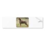 Doberman bumper stickers