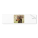 Doberman bumper stickers