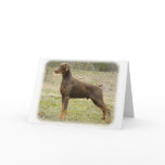 Doberman cards