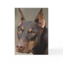 Doberman cards