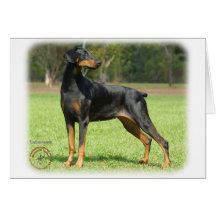 Doberman Card