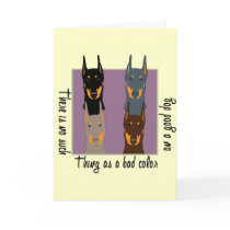 Doberman colours