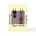 Doberman colours cards