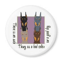 Doberman colours