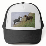 Doberman Love at First Sight Ball Cap hats
