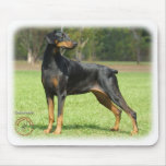 Doberman mousepads