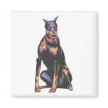 Doberman Pincher Refrigerator Magnet