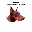 Doberman Pinscher Beware Funny T-Shirt