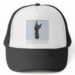 Doberman Pinscher (Black and Tan) Favourite hats