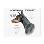 Doberman Pinscher (blk) History Design postcards