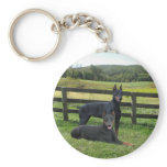 Doberman Pinscher Buddies Keychain