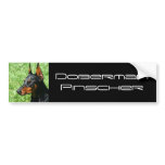 Doberman Pinscher bumper sticker bumper stickers