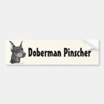 Doberman Pinscher Bumper Stickers