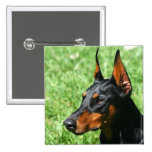 Doberman Pinscher button