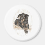 Doberman Pinscher Dog with Natural Ears Refrigerator Magnet