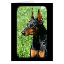 Doberman Pinscher greeting card