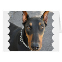 Doberman Pinscher Greeting Card