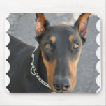 Doberman Pinscher Mouse Pad mousepads