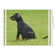 Doberman Pinscher Puppy Greeting Card