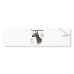Doberman Pinscher (red) History Design
