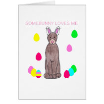Doberman Pinscher Somebunny Loves Me cards