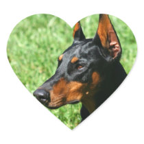 Doberman Pinscher stickers