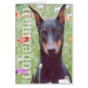 Doberman Portrait in flowers cards