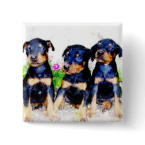 Doberman puppies button