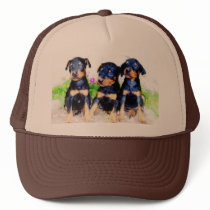 Doberman puppies hat