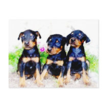 Doberman puppies postcard