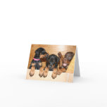 Doberman Puppy Note Card