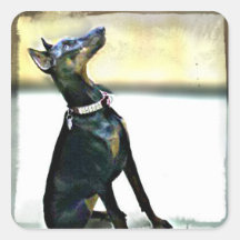 Doberman stickers- studded collar