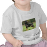 Doberman t-shirts