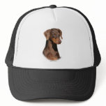 Dobermann 9Y381D-162 hats