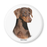 Dobermann 9Y381D-162 magnets