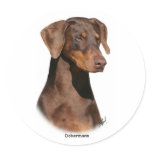 Dobermann 9Y381D-162 stickers