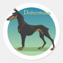 dobermann round sticker