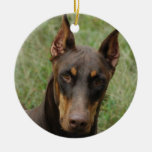 Dobermans Ornament