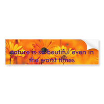 Dock, Garden, nature is so beutiful even in the... Bumper Stickers