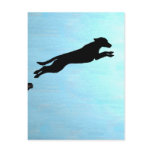 Dock Jumping Dog postcards