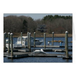 Dock of the Bay Card